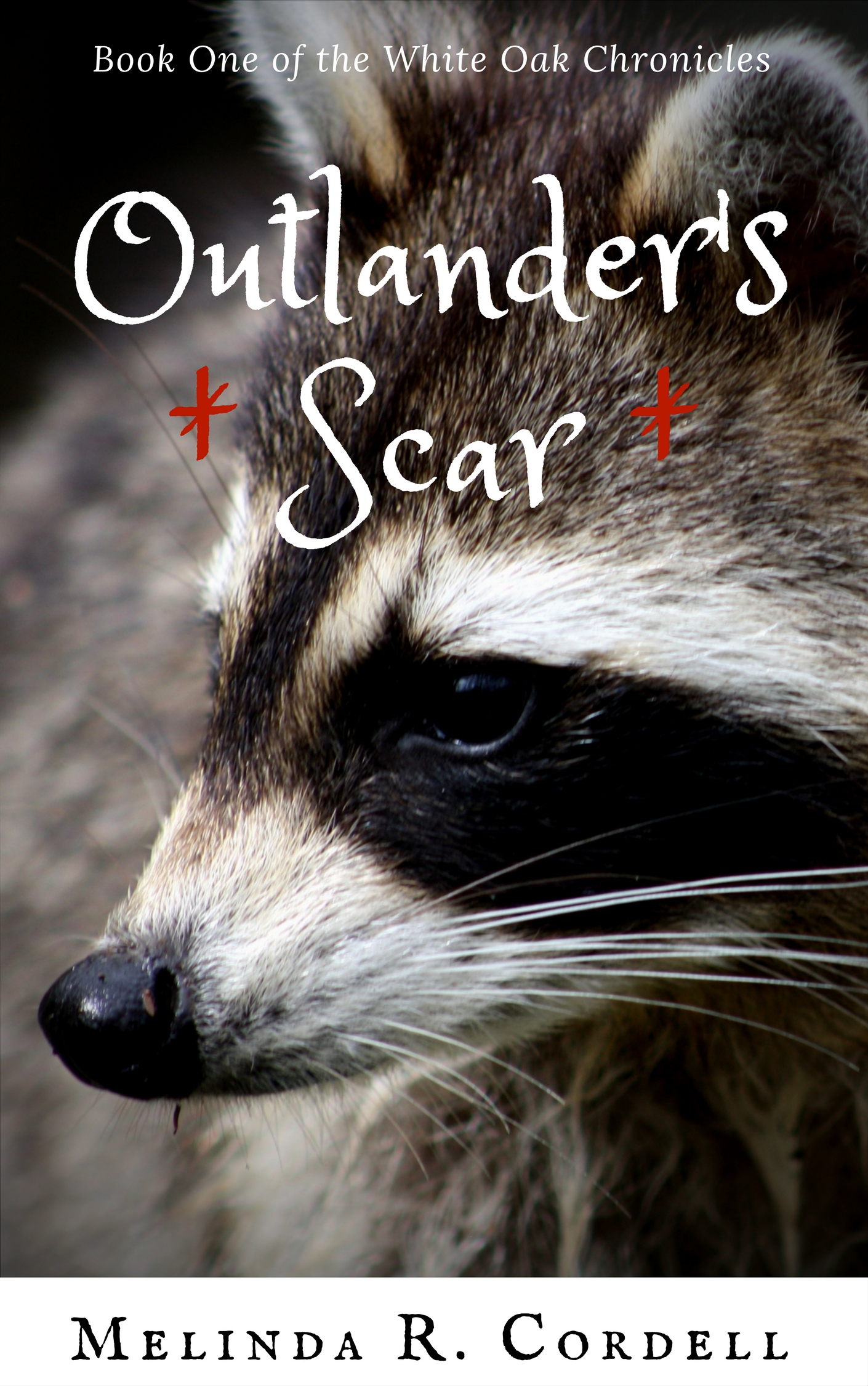 Outlanders Scar