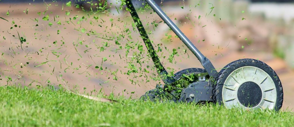 lawn mower throwing up grass from sod whee!