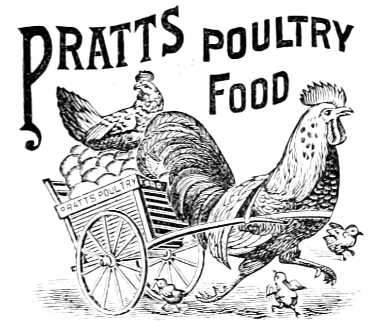 Pratts poultry food