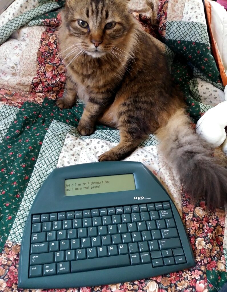 Shimmer the cat with my Alphasmart Neo