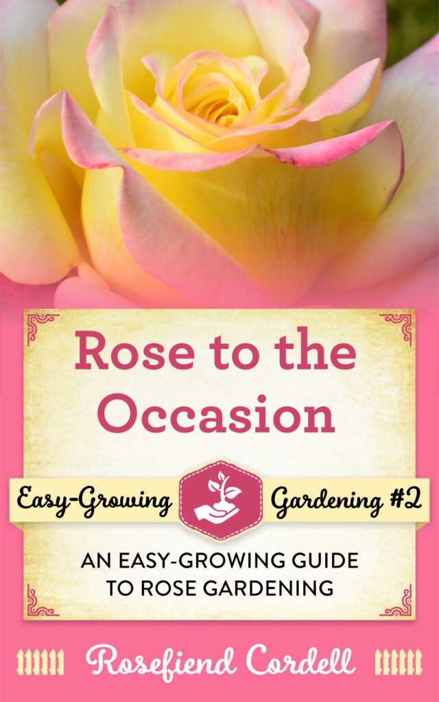 how to grow roses 