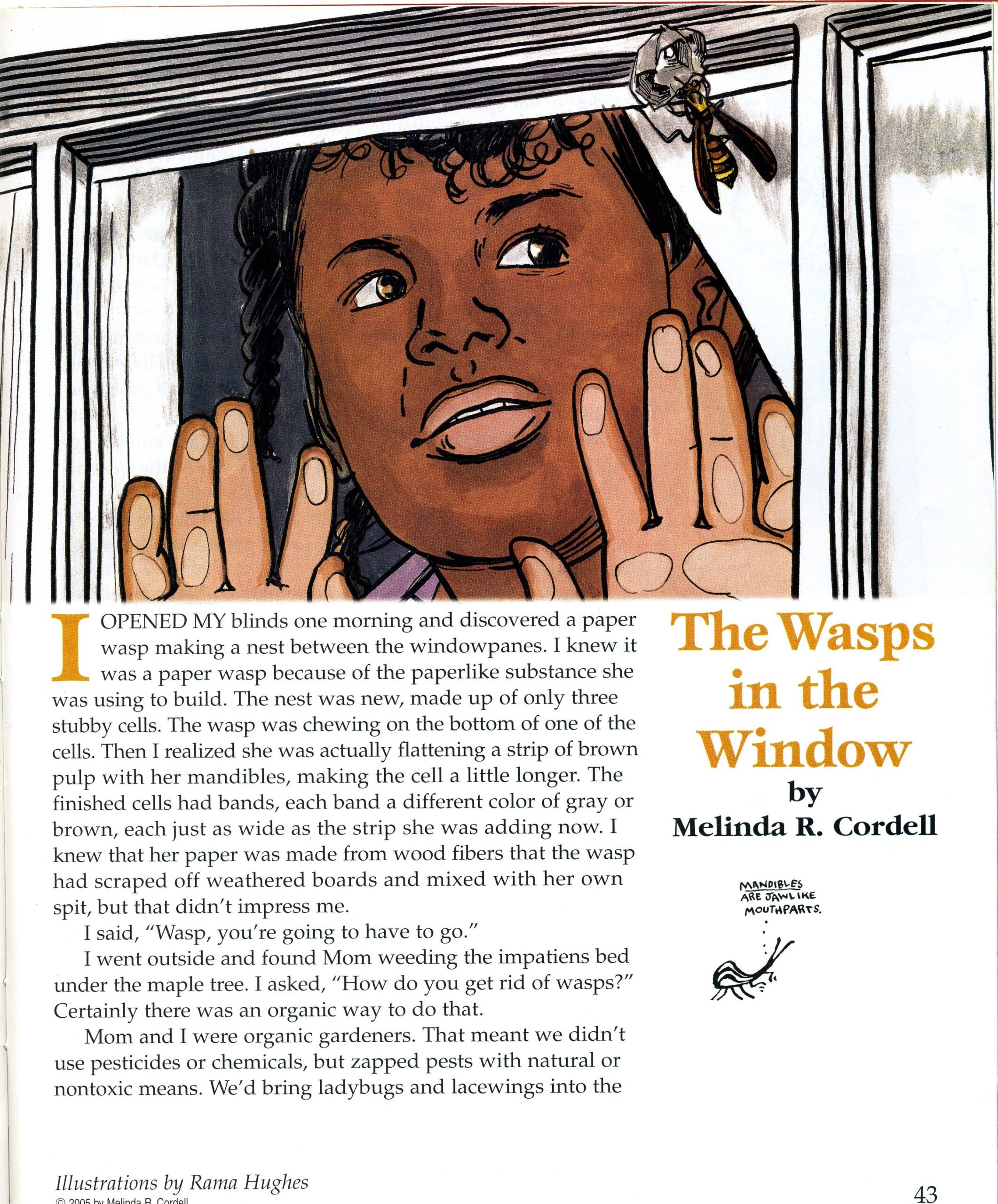 "Wasps in the Window" from Cricket