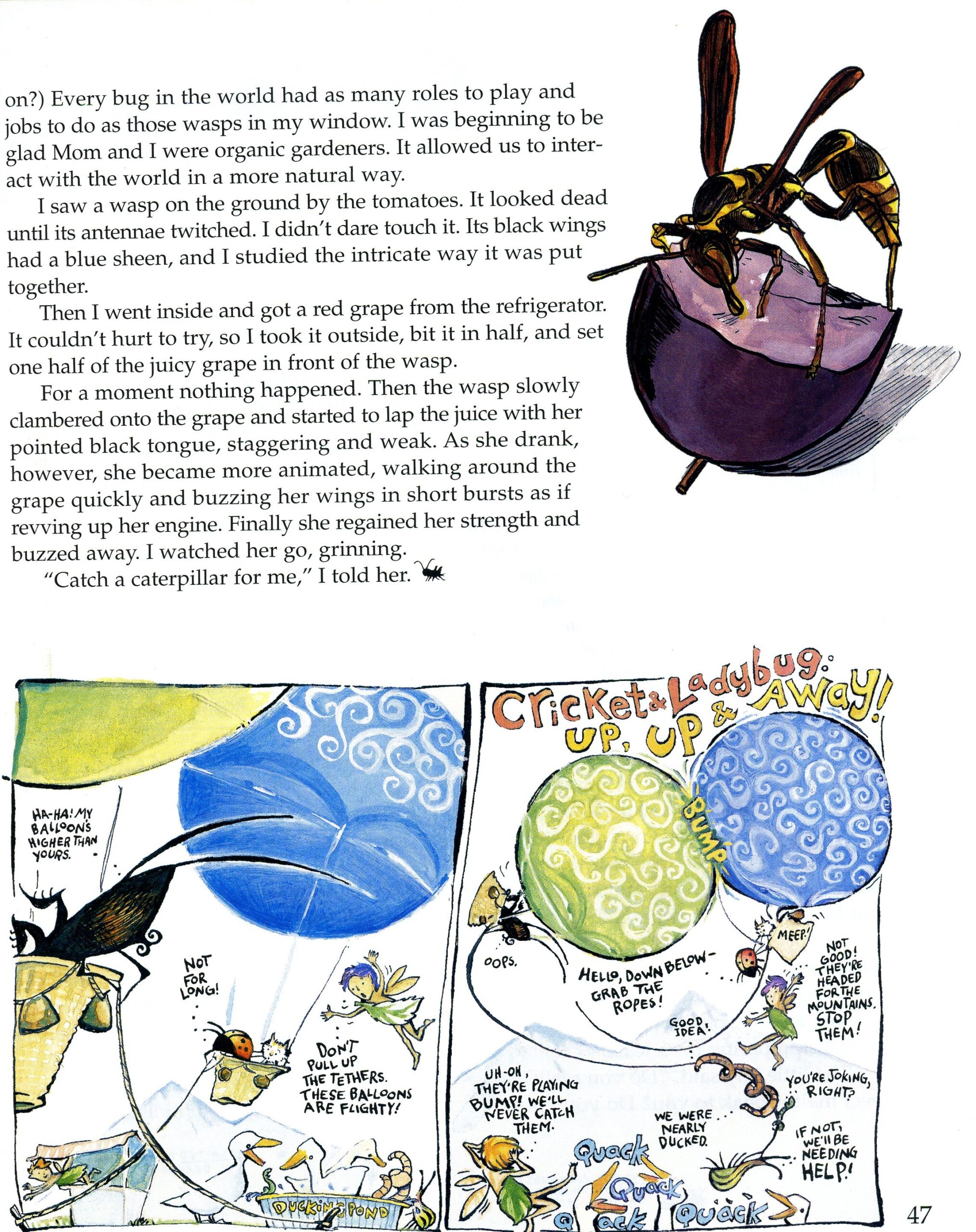 "The Wasps in the Window" -- Cricket magazine
