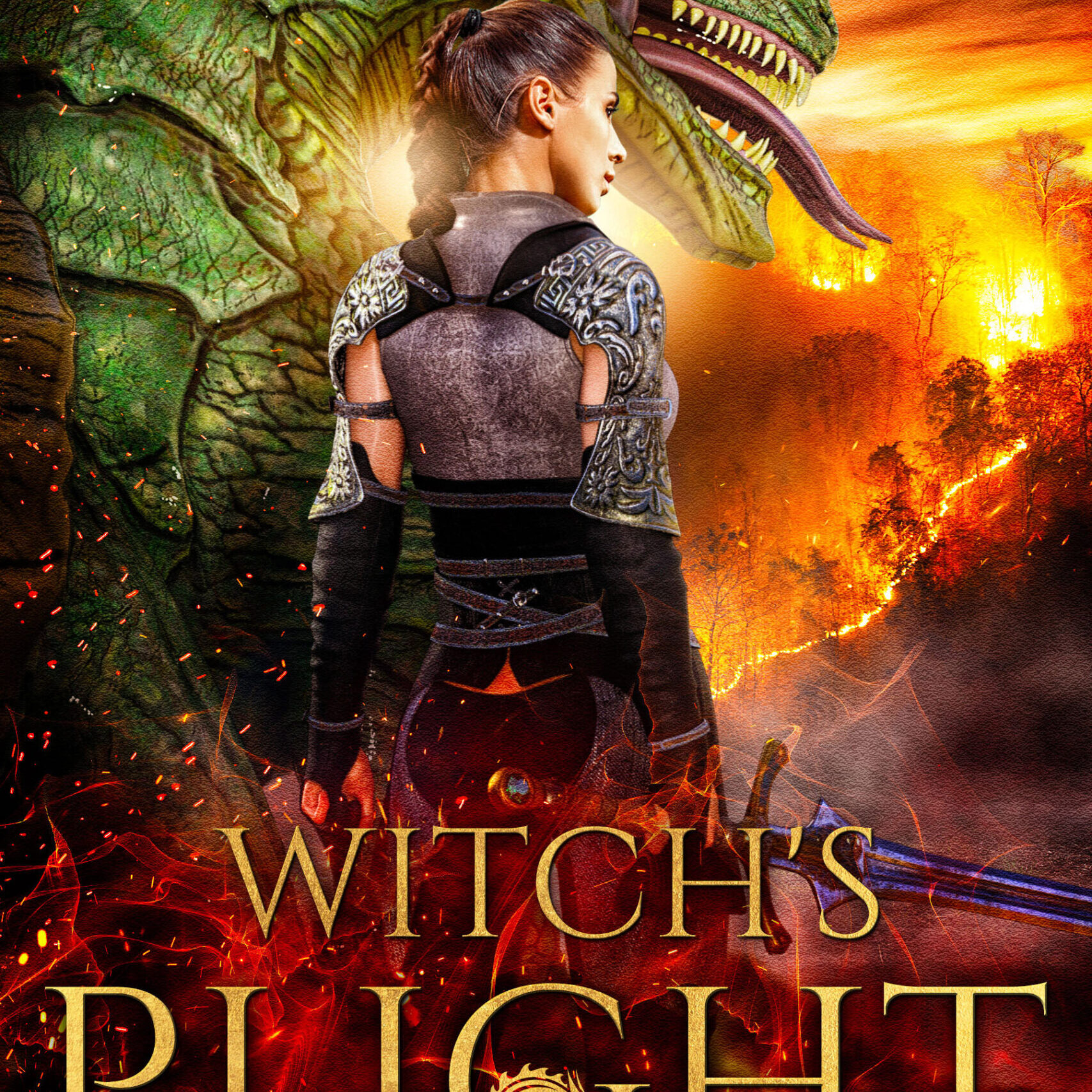 Witch's Plight cover for book 4 of the dragonriders of fiorenza yayy